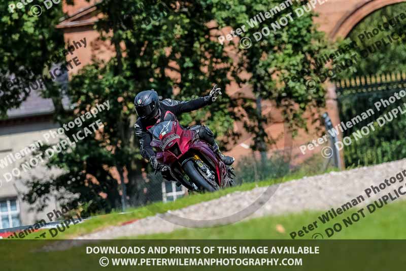PJ Motorsport 2019;anglesey;brands hatch;cadwell park;croft;donington park;enduro digital images;event digital images;eventdigitalimages;mallory;no limits;oulton park;peter wileman photography;racing digital images;silverstone;snetterton;trackday digital images;trackday photos;vmcc banbury run;welsh 2 day enduro